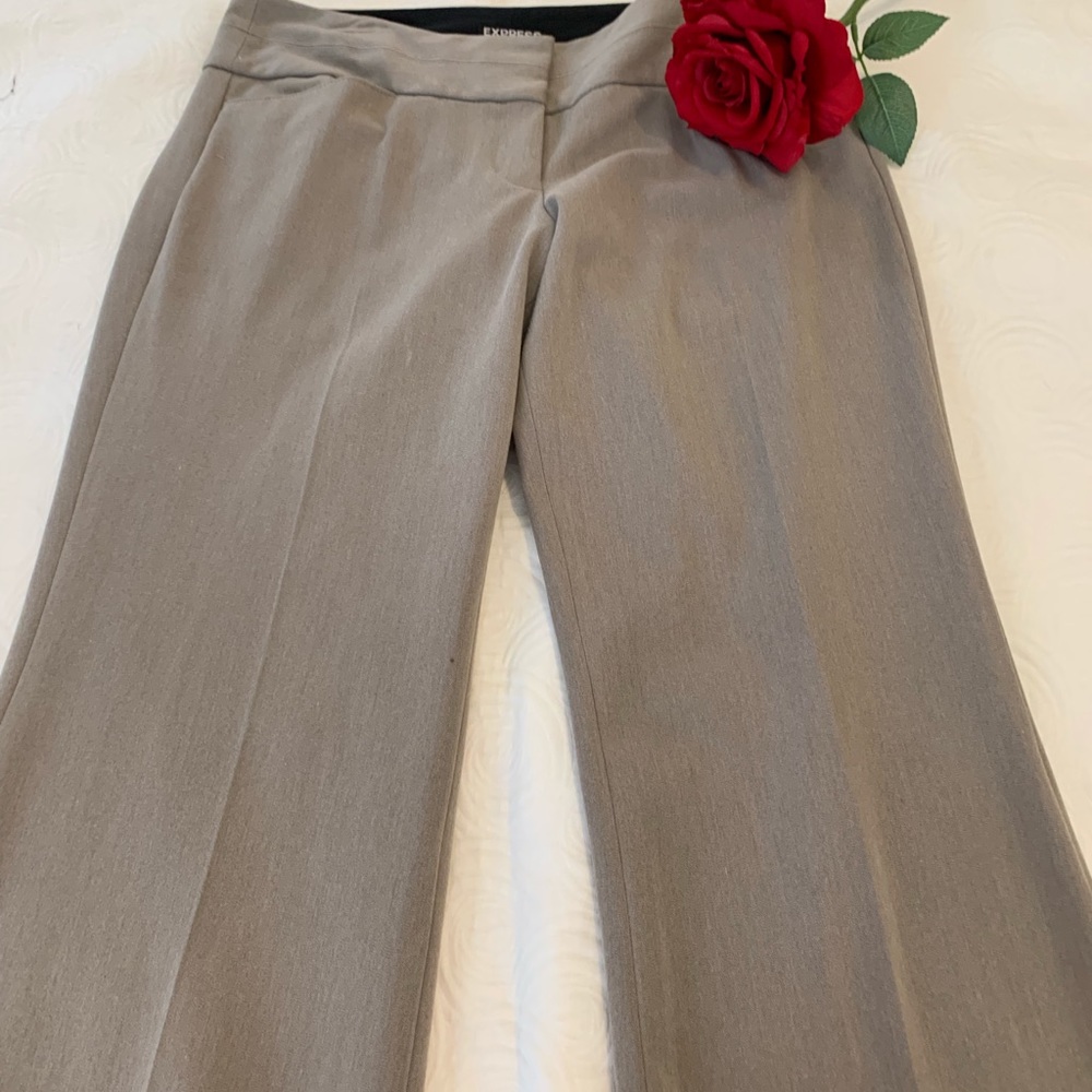 Express Dress Pants